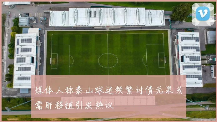 媒体人称泰山球迷频繁讨债无果或需肝移植引发热议