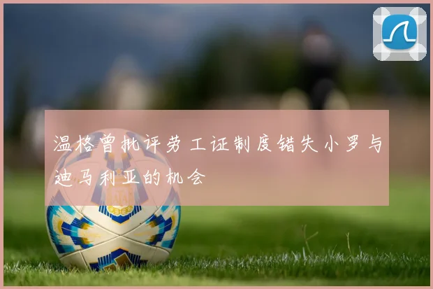 温格曾批评劳工证制度错失小罗与迪马利亚的机会