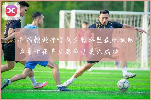 乔约翰逊呼吁莫兰特加盟森林狼助力华子在季后赛争夺更大成功