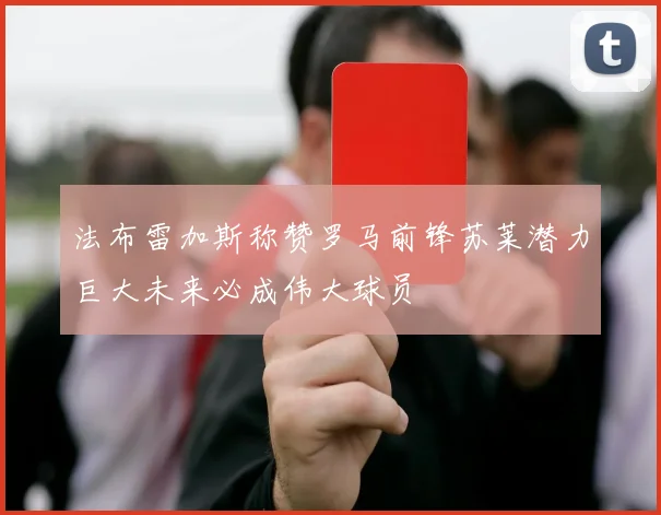 法布雷加斯称赞罗马前锋苏莱潜力巨大未来必成伟大球员